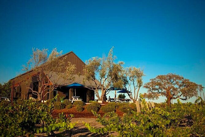 semi-private-modified-hop-on-hop-off-wine-tour-from-san-luis-obispo-pismo