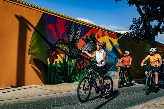 semi-private-road-to-san-nicolas-culture-heritage-by-e-bike-aruba