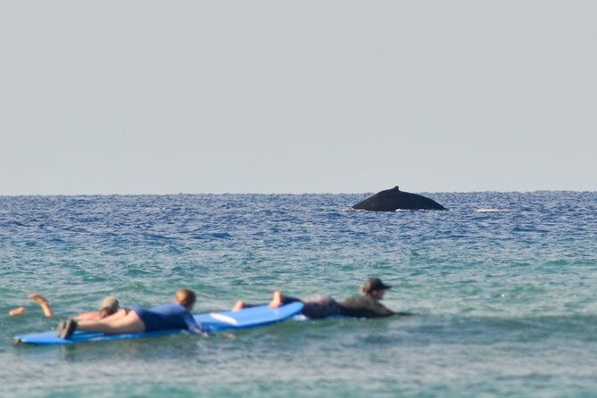 semi-private-surf-lessons-with-experienced-coaches