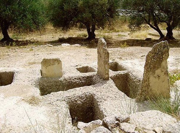 semi-private-wine-and-olive-oil-tour-transfer-lunch-incl