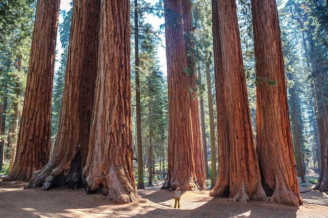 sequoia-national-park-adventure-from-tulare