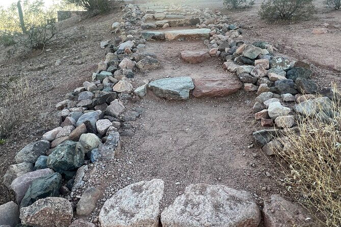 serene-botanical-tour-of-the-sonoran-desert-guided-nature-walk-2