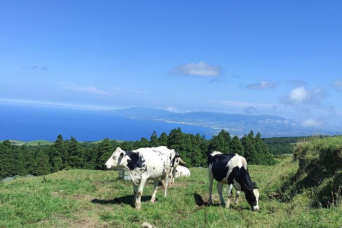 sete-cidades-on-jeep