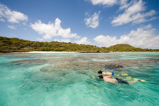 share-boat-trip-discover-green-island-and-sea-turtles-half-day