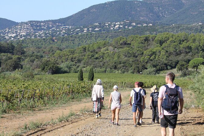 shared-tour-wine-tour-from-saint-tropez-3