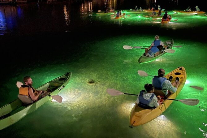 sharkeys-glass-bottom-fish-feeding-led-night-tour-in-clearwater