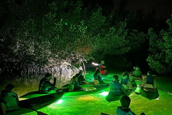 sharkeys-glass-bottom-fish-feeding-led-night-tour-in-sarasota