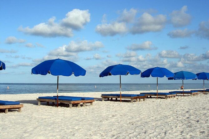sharkeys-glass-bottom-fish-feeding-led-night-tour-st-pete-beach