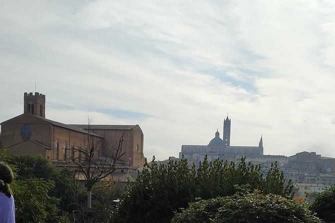 shore-excursion-from-livorno-to-siena-and-san-gimignano-by-private-minivan