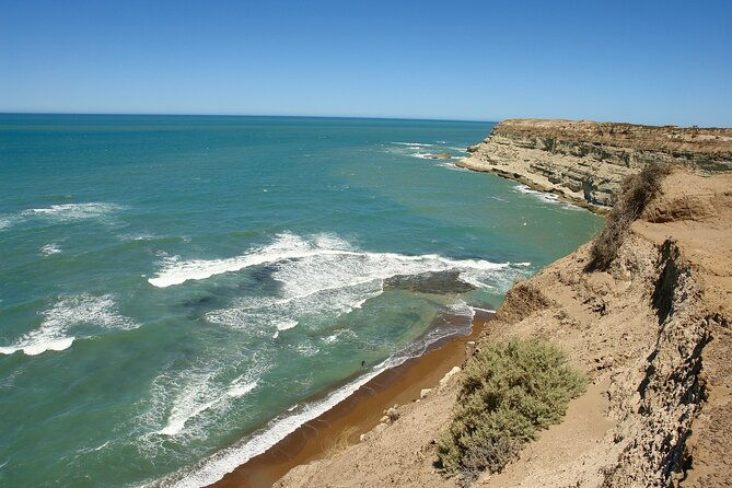 shore-excursion-peninsula-valdes-or-punta-tombo-private-car