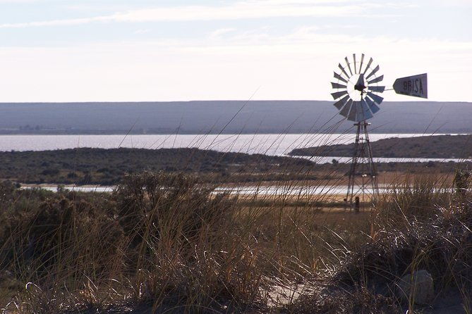 shore-excursion-private-day-trip-to-peninsula-valdes-from-puerto-madryn