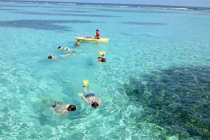 shore-excursion-roatan-parasailing-adventure-and-reef-snorkel