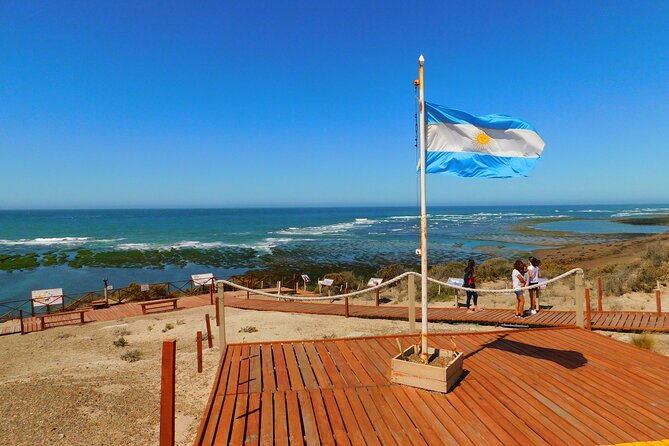 shore-tours-peninsula-valdes-cruise-ship-passengers-puerto-madryn