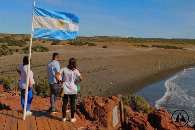 shore-tours-punta-tombo-cruise-ship-passengers-puerto-madryn