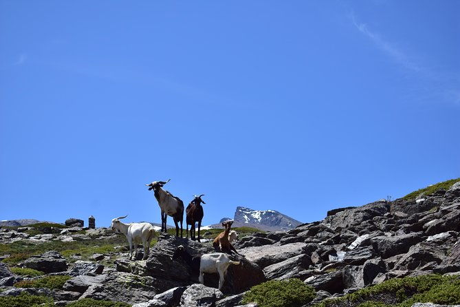 sierra-nevada-tour-granada