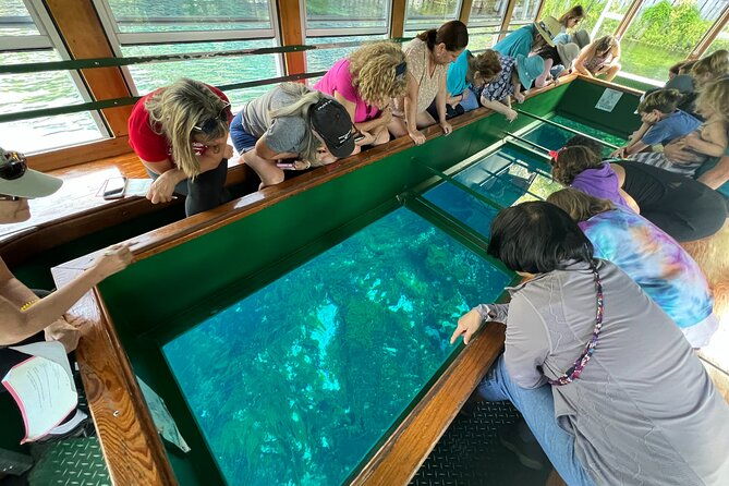 silver-springs-and-glass-bottom-boat-tour-from-orlando