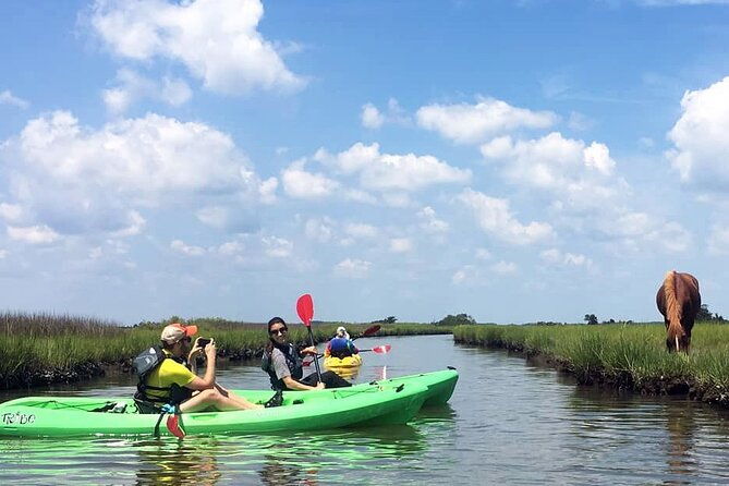 single-sit-on-top-kayak-rental-at-assateague-island-md