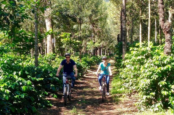 sip-n-cycle-coffee-and-mountain-bike-tour