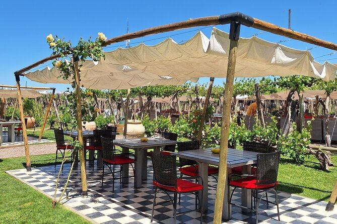sip-savor-private-tour-of-three-charming-wineries