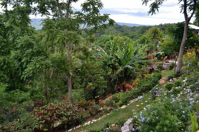 skip-the-line-ahhh-ras-natango-gallery-and-garden-admission-tickets