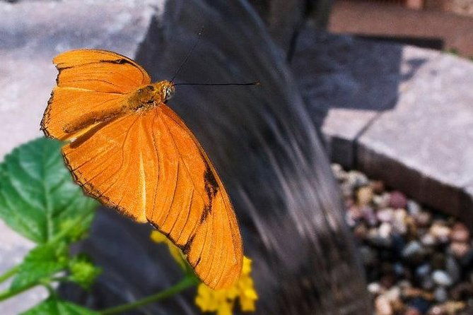 skip-the-line-general-admission-to-river-bend-nature-center-ticket