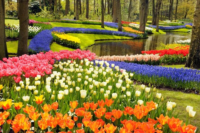 skip-the-line-keukenhof-gardens-and-tulip-fields-tour-from-amsterdam