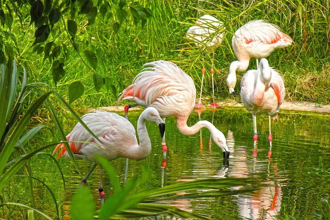 skip-the-line-terra-natura-benidorm-entrance-ticket-2