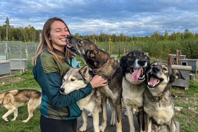 sled-dog-kennel-tour