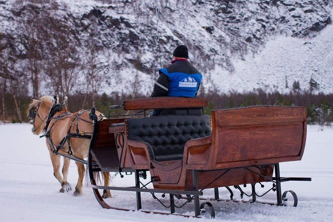 sleigh-ride-in-the-arctic-country-side