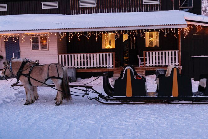 sleigh-ride-w-snacks-experience-arctic-farm-life