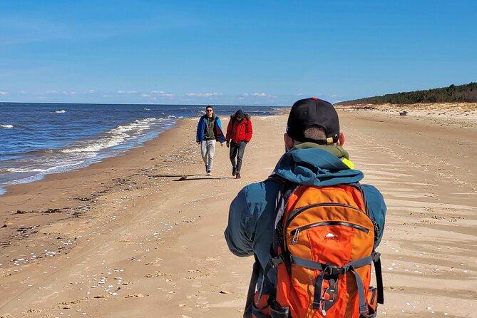 slitere-national-park-latvian-nature-hiking-tour-from-riga