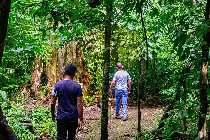 sloth-and-monkey-wild-life-tour