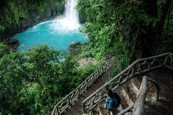 sloths-in-their-natural-habitat-blue-river-waterfall