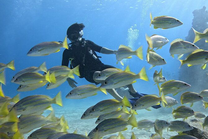 small-group-discover-scuba-diving-from-electric-beach-with-photos