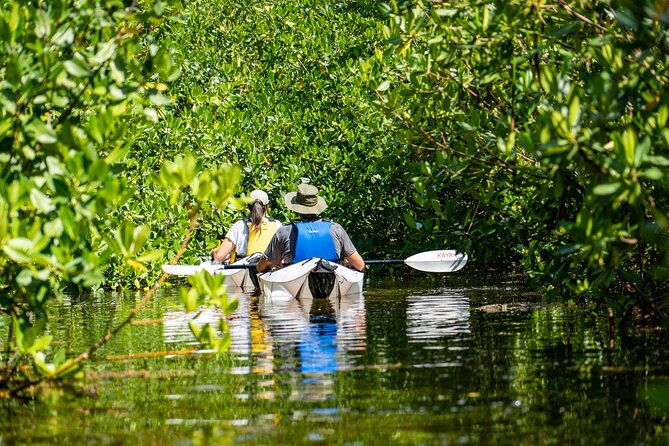 small-group-glass-bottom-kayak-adventure-cayman-islands