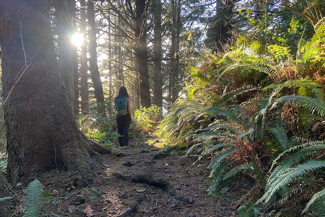 small-group-hiking-tour-to-cannon-beach-on-the-oregon-coast