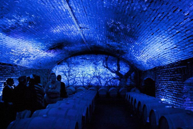 small-group-maipo-vineyards-full-day-experience-with-optional-lunch