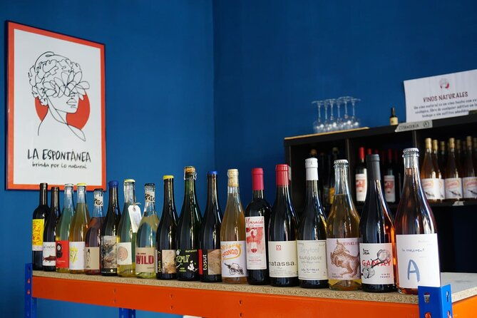 small-group-natural-and-organic-wine-tasting-near-sitges