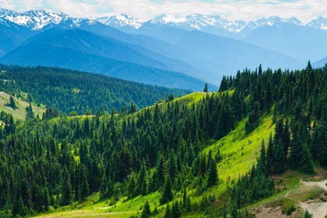 small-group-olympic-national-park-day-tour-from-seattle-2cango