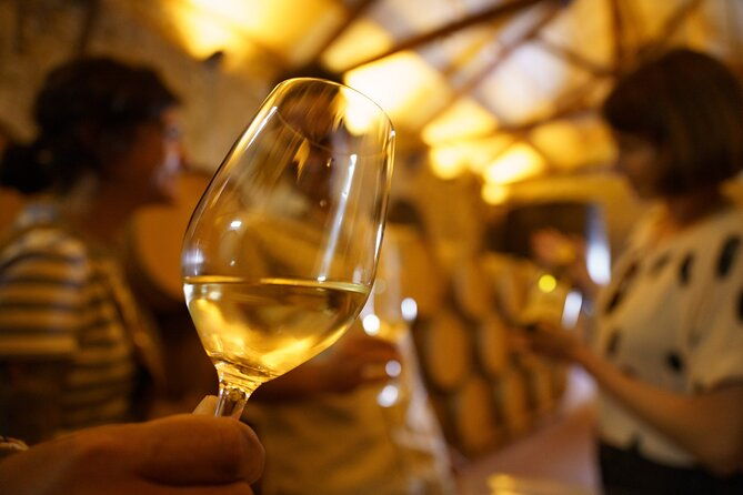 small-group-rioja-uncorked-tour-from-san-sebastian