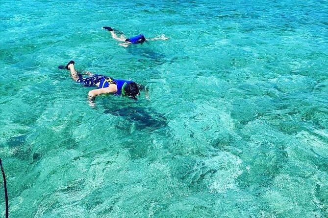 small-group-snorkeling-experience-at-sea-garden