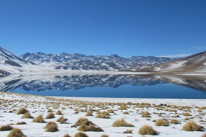 small-group-tour-altiplanic-lagoons-red-stones-flamingo-reserve
