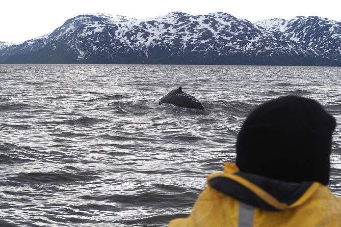 small-group-whale-watching