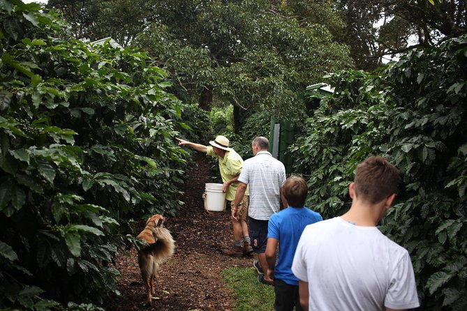 small-hands-on-coffee-tour