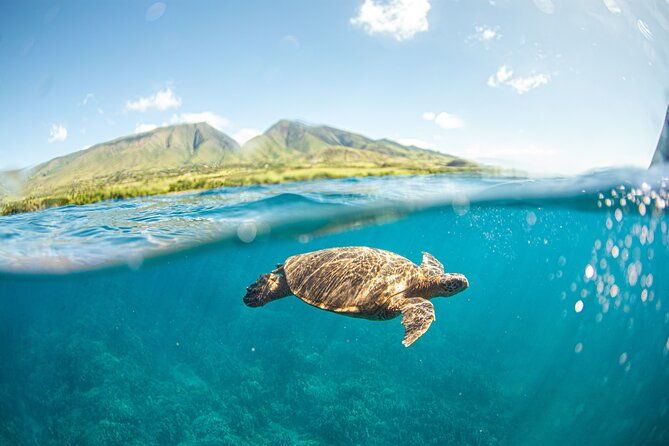 snorkel-sail-adventure-off-kaanapali-beach-maui