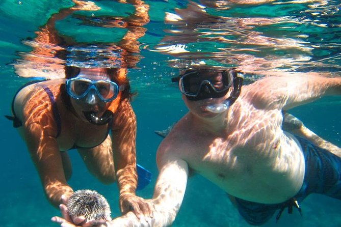 snorkel-tour