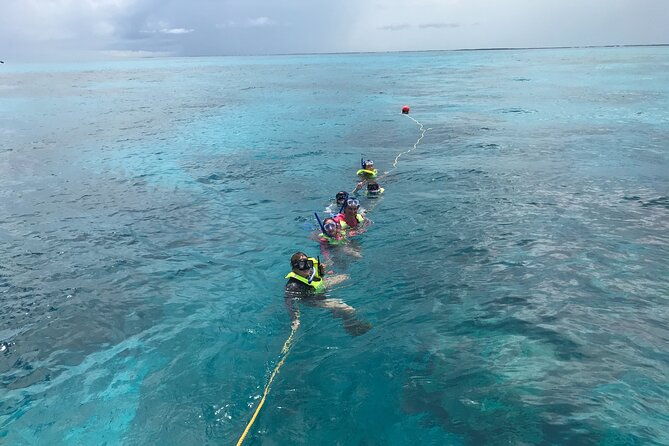 snorkel-tours-to-key-largo-reef-for-up-to-6-people-includes-gear