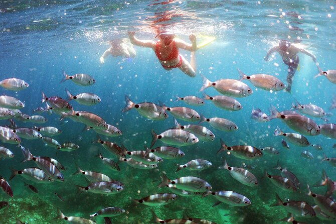 snorkeling-adventure-pula-boat