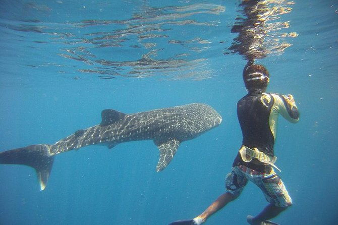 snorkeling-at-catalina-islands-north-island-cr