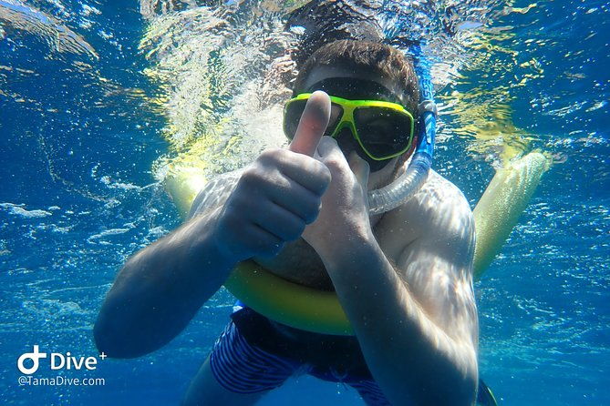 snorkeling-at-catalina-islands